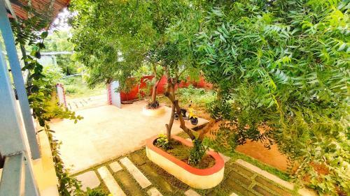 Villa Ranga Cottages - Auroville