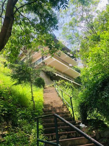 Apartamento Cottage No 6