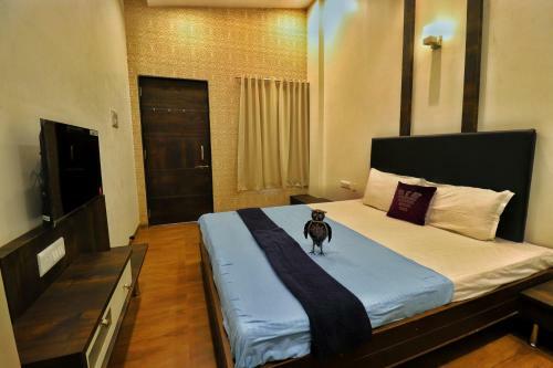 Pool Stays At Alibaug