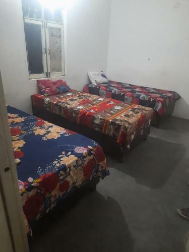 Bed & Breakfast Rbs Pg & Accommocation