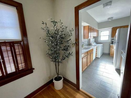 Cozy Double King Suite Bungalow With Free Wifi