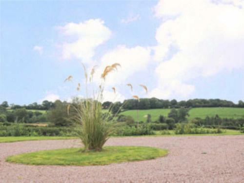 Castle Meadow