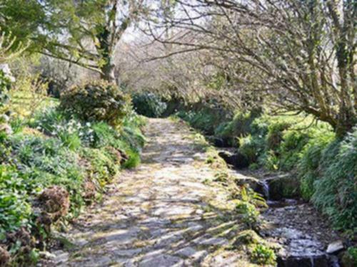 Stream Cottage