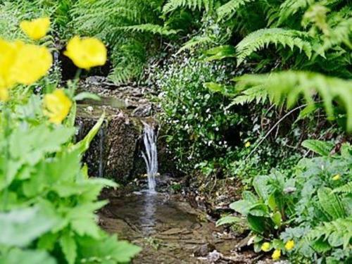 Stream Cottage