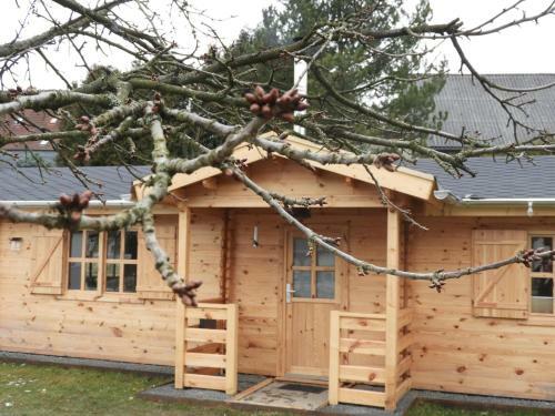 Apartamento Adler Sommerhaus Oderwitz