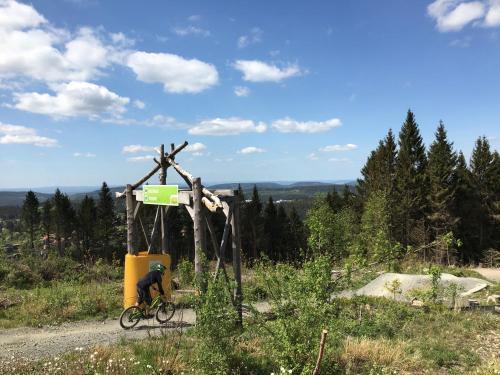 Apartamento Ferienwohnung Hahnenklee 5/138