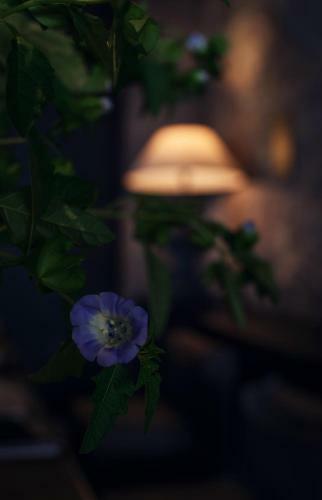 Yakamoz Erhai Hotel