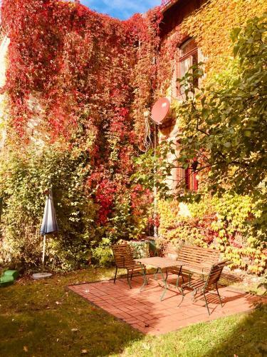 Apartamento Ferienwohnung Huttenstra�e Halle