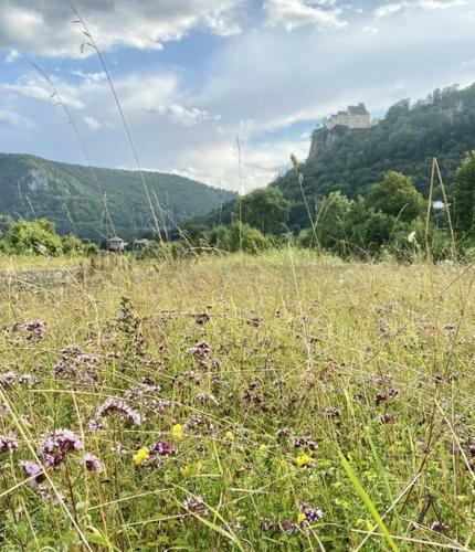 Bed & Breakfast Thecrossing Beuron