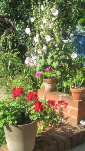 Hostal Grange Guest House