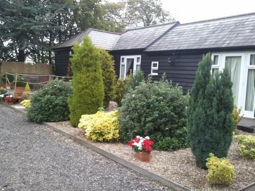 Hostal The Barn Annexe