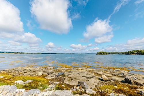 Water's Edge