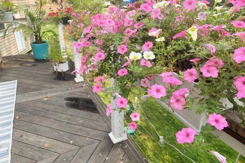 So Epping Cool