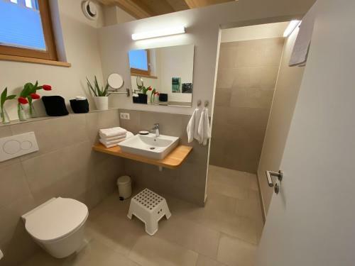 Apartamento Zachhof Niederleierndorf