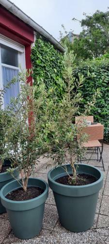 Apartamento Le Studio De Paulette
