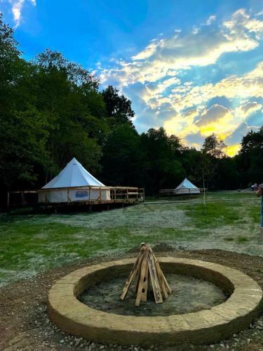Forest Glamping