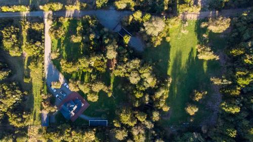 The Forest House Cocham�