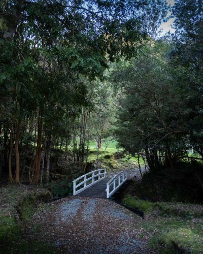 The Forest House Cocham�