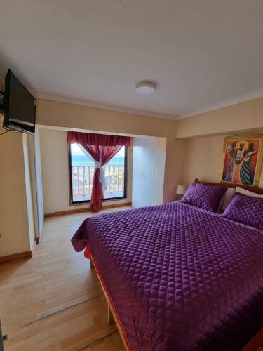 Casas Y Caba�as Nofal