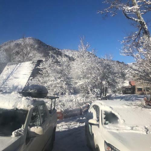 Caba�as Bosque Nevado