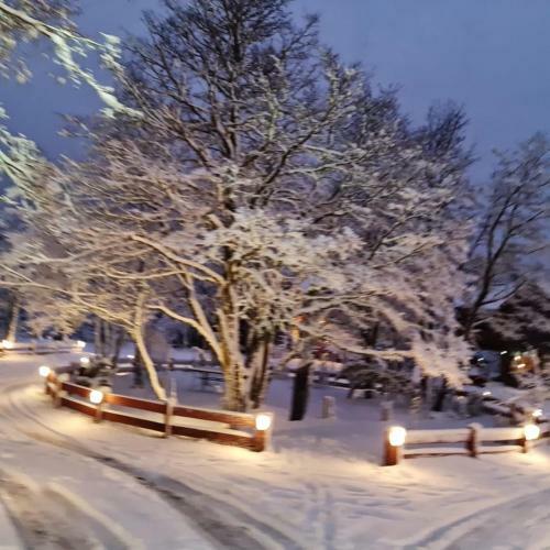 Caba�as Bosque Nevado