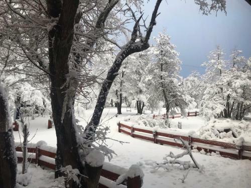 Caba�as Bosque Nevado