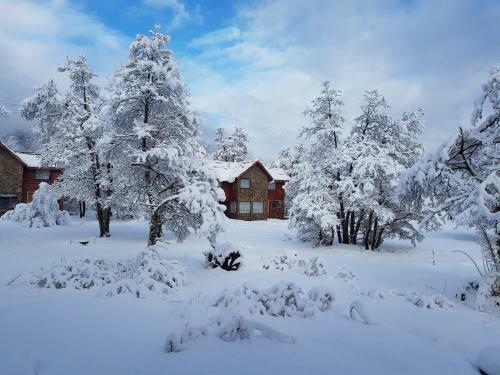 Caba�as Bosque Nevado
