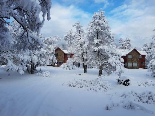 Caba�as Bosque Nevado