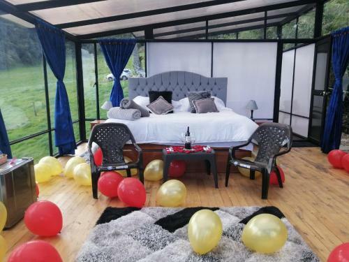 Glamping Estrella Cygnus