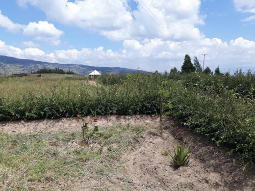 Casa Campestre