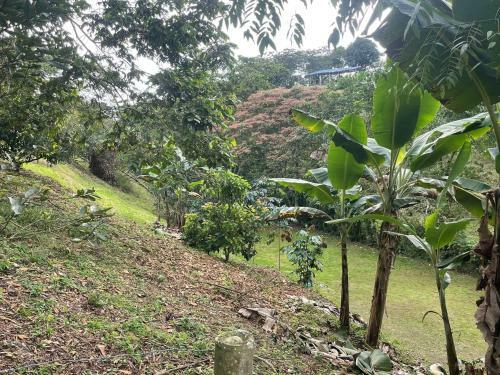 Finca La Vaga