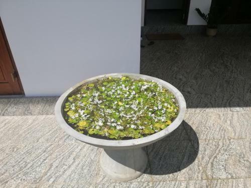 Apartamento Villa Amore