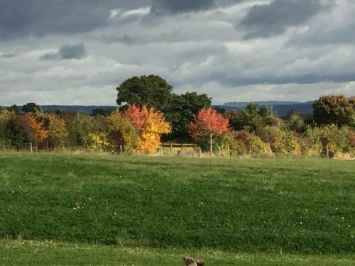 Lodge Foxfield Glamping