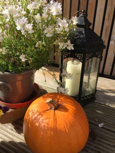 Lodge Foxfield Glamping