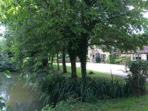 Hostal Great Ashley Farm B&B