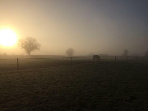 Hostal Great Ashley Farm B&B
