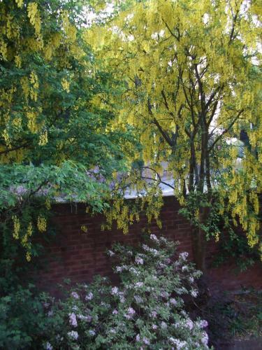Bed & Breakfast Daybrook House