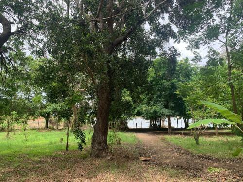 Captain's Cottage At Yala