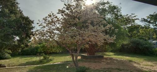 Agroturismo Yala Holiday Resort (Etf Board)
