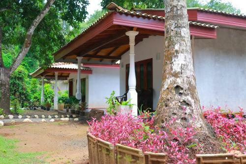 Bed & Breakfast Aqua Homes