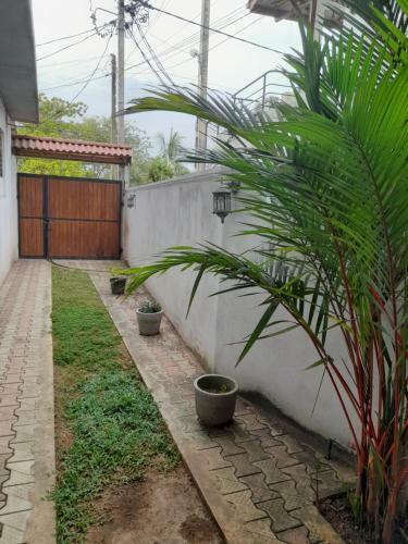 Hostal Ceylon Casa
