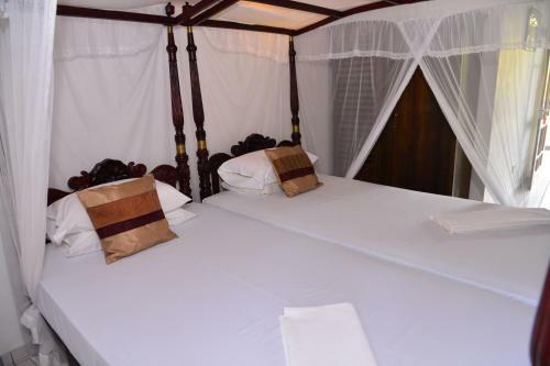 Hostal Surf Villa