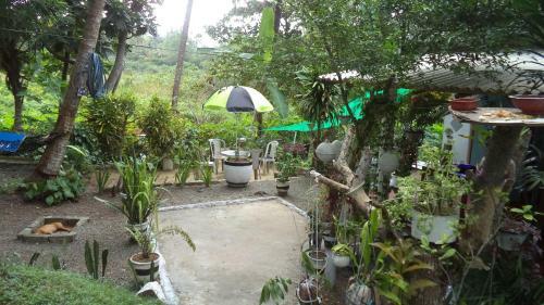 Hikka Bird Hostel