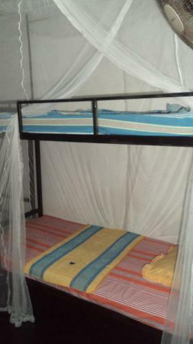 Hikka Bird Hostel