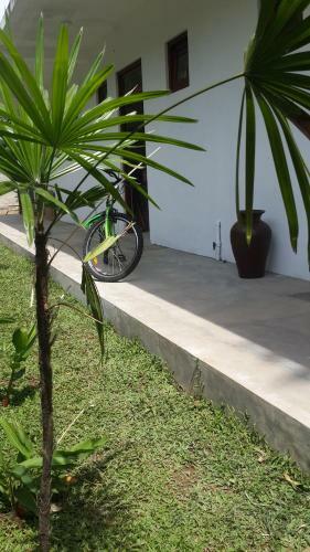 Apartamento Auri Residence