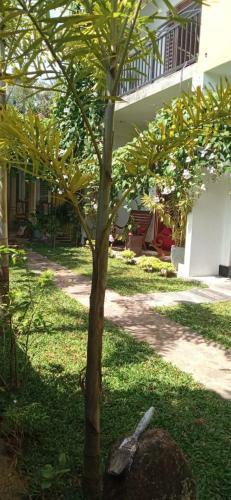 Bed & Breakfast Mandara Rest