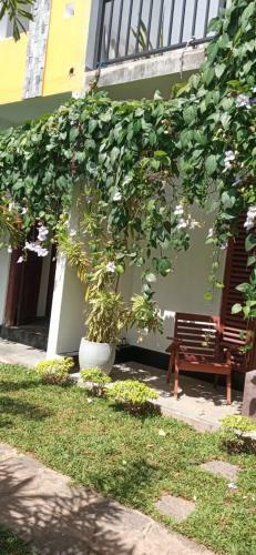 Bed & Breakfast Mandara Rest