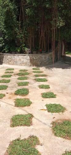 Bed & Breakfast Mandara Rest