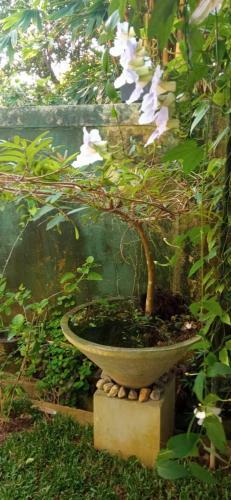 Bed & Breakfast Mandara Rest