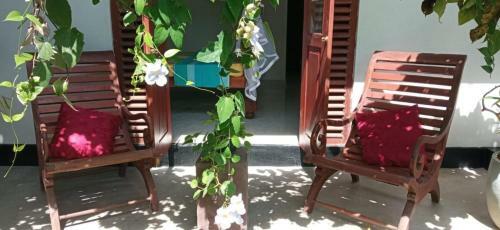 Bed & Breakfast Mandara Rest